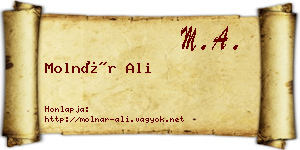 Molnár Ali névjegykártya